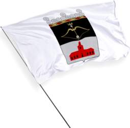 Kuopio pilsētas karogs