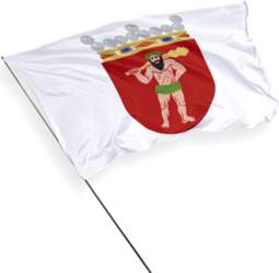 Lapzemes reģiona karogs