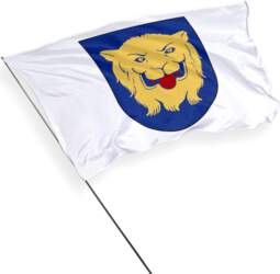 Linšēpingas pilsētas karogs