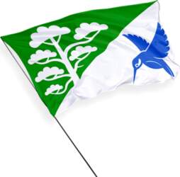 Põlva pašvaldības karogs