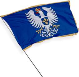 Šeduva pilsētas karogs