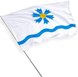 Tartu pašvaldības karogs