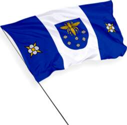 Varėna pilsētas karogs
