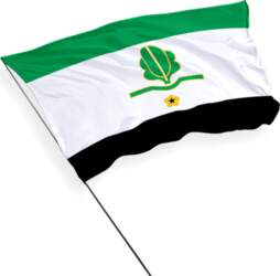 Kohila pašvaldības karogs