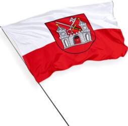 Tartu pilsētas karogs