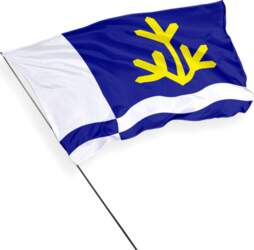 Toila pašvaldības karogs