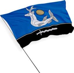 Zarasai pilsētas karogs