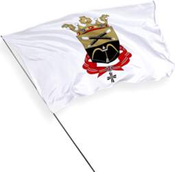 Miki pilsētas karogs