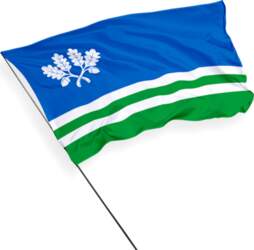 Tapa pašvaldības karogs