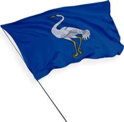 Visaginas pilsētas karogs