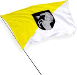 Radviliškis pilsētas karogs