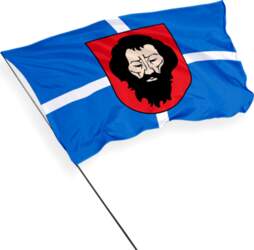 Trakai pilsētas karogs
