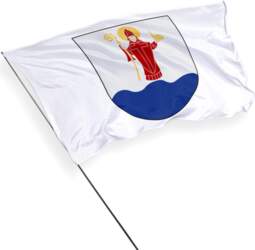 Vekšē pilsētas karogs