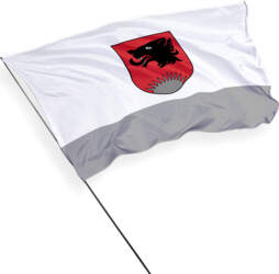 Balvu novada karogs