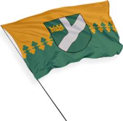 Pļaviņu karogs