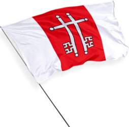 Žagarė pilsētas karogs