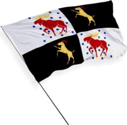 Jēvleborjas lēnes karogs