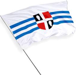 Rae pašvaldības karogs
