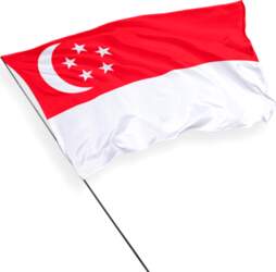Singapūras karogs