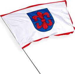 Vilkaviškis pilsētas karogs