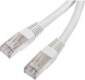 FTP Patchcable CAT6 2xRJ 45 /