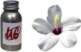 Universal Effects Perfumed Oil 50ml. Wild