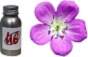 Universal Effects Perfumed Oil 50ml. Geranium