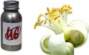 Universal Effects Perfumed Oil 50ml. Lime