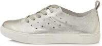 D D Step D.D.Step
