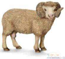 Schleich Auns 123793