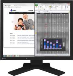Monitors Eizo FlexScan S1934, IPS, 60