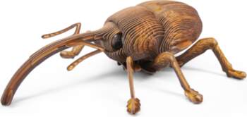 3D puzle MakeBug Weevil MB-B-0004, 5