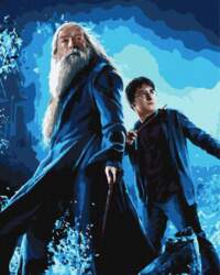 Glezna pēc numuriem Ideyka Harry Potter