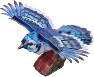3D puzle MakeBug Blue Jay MB-D-0056