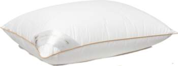 Spilvens Comco Premium Goose Down 100
