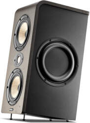 Focal Shape Twin
