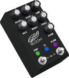 Jackson audio BLOOM MIDI BLACK