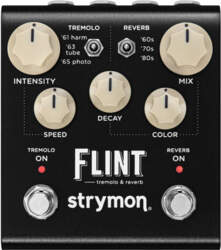 Strymon Flint V2