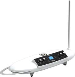 Moog Theremini