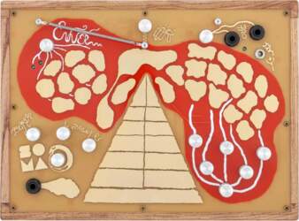 Soma Laboratory ENNER RED