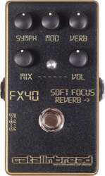Catalinbread SOFT FOCUS GOLD