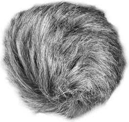 Zoom WSU-1