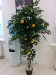 Mākslīgais telpaugs Citronkoks 200 cm