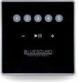 BLUESOUND PROFESSIONAL CP100