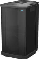 BOSE F1 Subwoofer