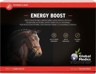 Energy Boost 6x60gr