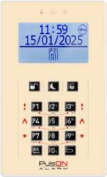 BCS PULSON FRONT LCD/C BEI (11433)
