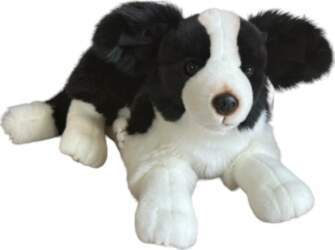 Dubi  Border Collie  45cm | TS/30825