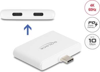 USB Delock USB-C - USB-C x2