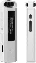FiiO audio Snowsky ECHO* NANO |
